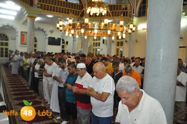 tarawe7 nozhas j (21).JPG